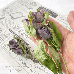 クリスマスローズ　（ヘレボルス）　紫　【 ロスフラワー 】　＜ 六合（くに）の花 ドライフラワープロジェクト ＞ 5枚目の画像