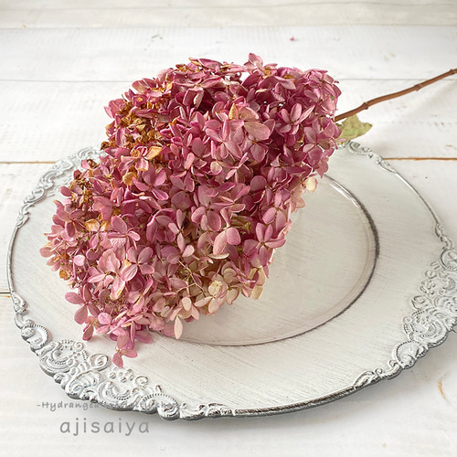 紫陽花ドライフラワー A11 大量 115サイズ 北海道産 秋色紫陽花 紫陽花ドライフラワー A11 大量 115サイズ 北海道産 秋色紫陽花