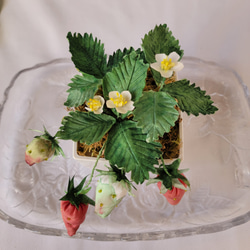 手染め 苺 いちご 鉢植え風 　布花 （正絹） 2枚目の画像