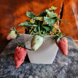 手染め 苺 いちご 鉢植え風 　布花 （正絹） 8枚目の画像
