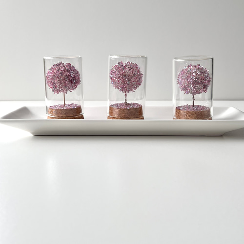 手のひらで満開のお花見《たんぽぽわたげの桜の木 小》桜 お花見
