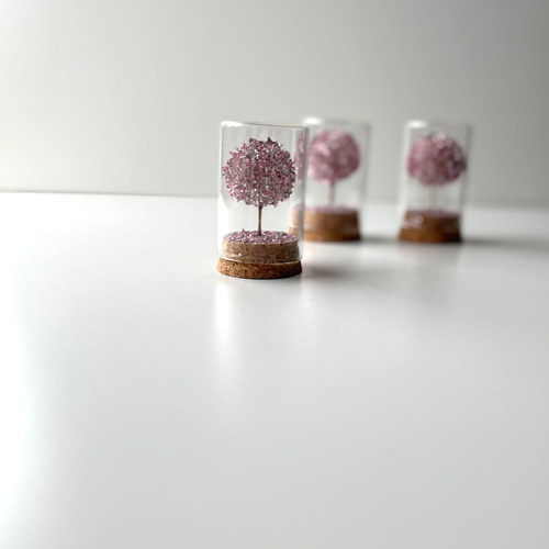 手のひらで満開のお花見《たんぽぽわたげの桜の木 小》桜 お花見