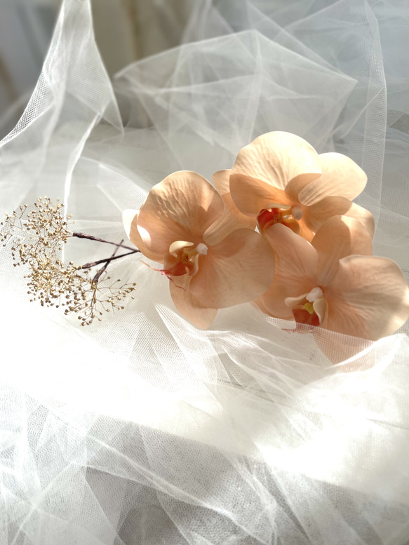 ピーチ胡蝶蘭のヘッドパーツ 1枚目の画像