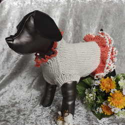 犬服＊手編みワンピース　コットン100％　梅春物　オレンジ色のフリルスカート 4枚目の画像