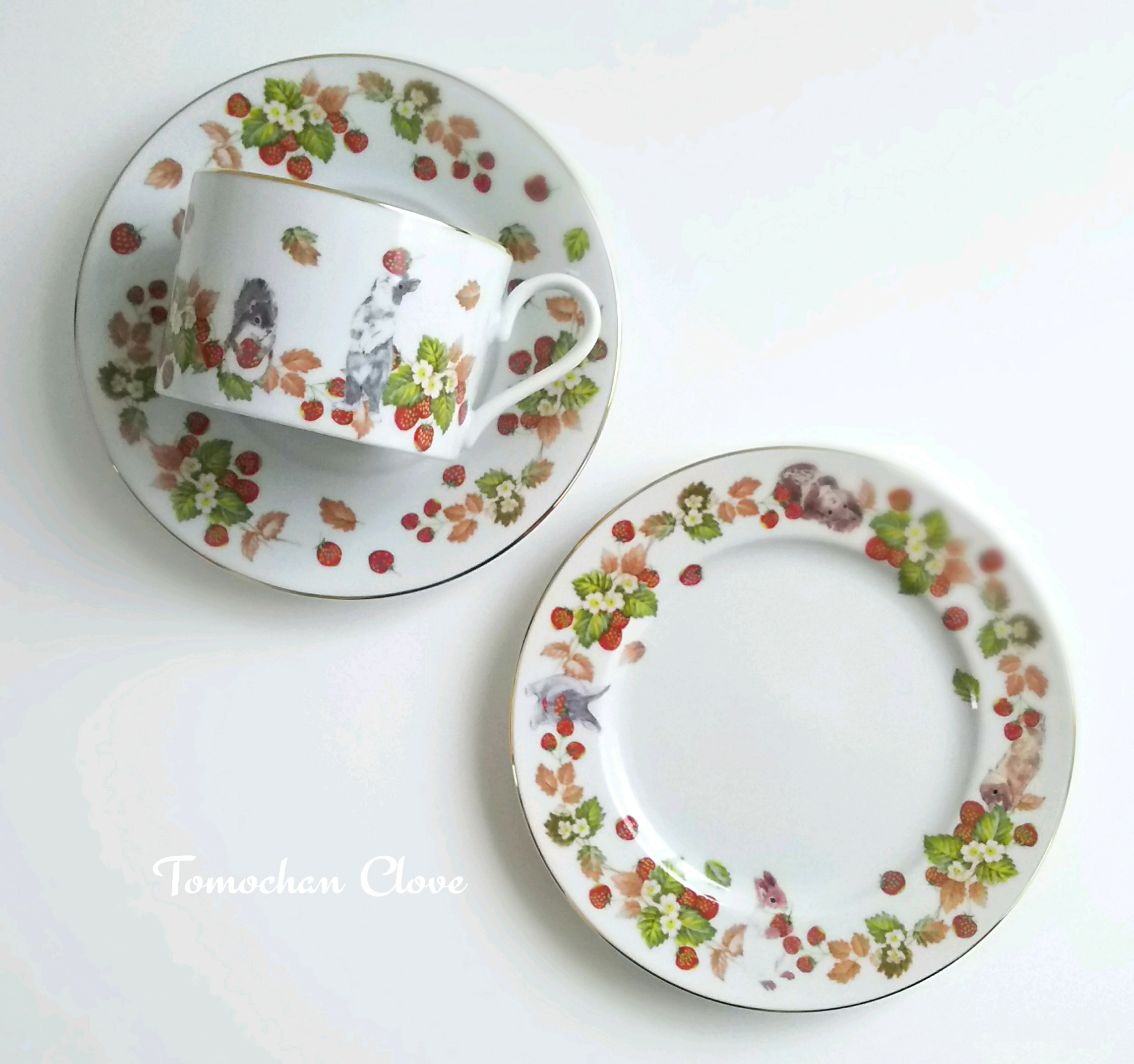 野いちご畑で遊ぶウサギとリスのティーセット(カップ&ソーサー1客、プレート1枚)【この品限り】