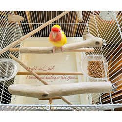 流木インテリア ２個セット バードケージ用の天然流木の止まり木 鳥かご ケージ ニームパーチ インコ とまり台 N4 3枚目の画像
