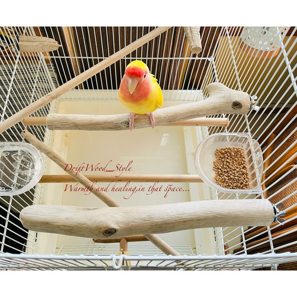 流木インテリア ２個セット バードケージ用の天然流木の止まり木 鳥かご ケージ ニームパーチ インコ とまり台 N4 3枚目の画像