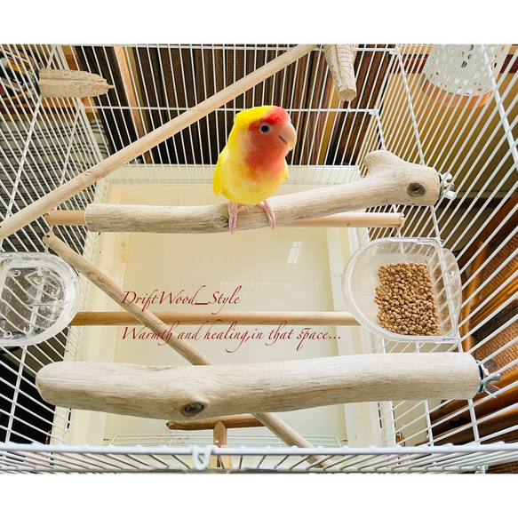 流木インテリア ２個セット バードケージ用の天然流木の止まり木 鳥かご ケージ ニームパーチ インコ とまり台 N4 2枚目の画像