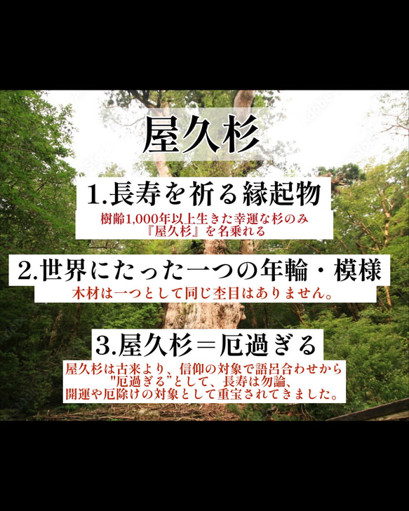 【世界に1本だけ】屋久杉のボールペン・長寿を祈る贈り物に　10-3 6枚目の画像