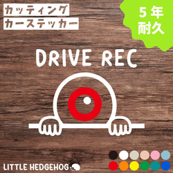 らぶゆー♥tamaさま　専用　カッティングステッカー ドラレコ カッティング ステッカー 目玉くん ドライブレコーダー 車