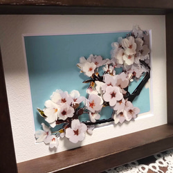 シャドーボックス：桜（完成品） 3枚目の画像