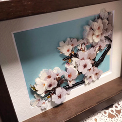 シャドーボックス：桜（完成品） 4枚目の画像