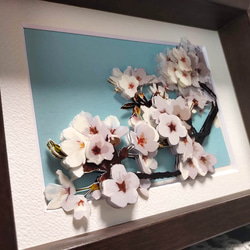 シャドーボックス：桜（完成品） 5枚目の画像