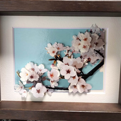 シャドーボックス：桜（完成品） 1枚目の画像