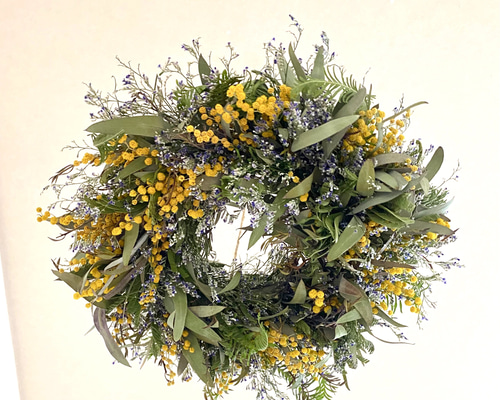 送料無料】ミモザとブルーファンタジーのフライングリース ドライ