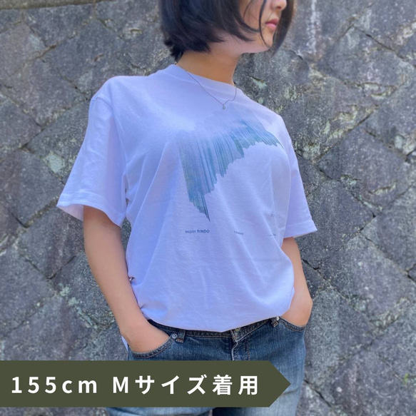【Tシャツ】　洗濯バサミ｜amanico　オリジナルTシャツ 2枚目の画像