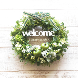 ⚫️プリザーブドウエルカム グリーンリース⚫️ 緑の風がそよぐウェルカムグリーンリース2（fw169-2-new）＊玄関ドア