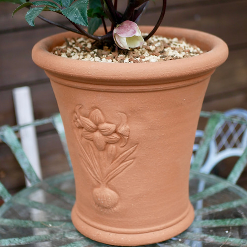 SALE ガーデナーさんの憧れ ウィッチフォード のテラコッタ鉢に 特別な