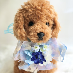 犬お花チョーカー≪花びらリボンブルー≫　写真撮影　トリミング　首飾り　犬猫アクセサリー　ヘッドアクセ　うちの子　結婚式 2枚目の画像