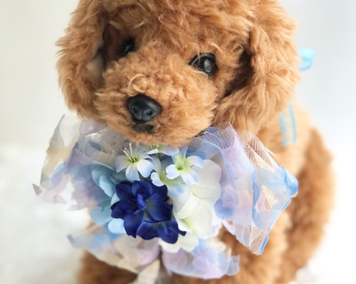 ホームパイ 犬 猫 ペット 紫陽花 トリミングチョーカー ホームパイ様専用 犬 猫 ペット 紫陽花 トリミングチョーカー