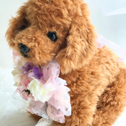 犬お花チョーカー≪花びらリボンピンク≫　写真撮影　トリミング　首飾り　犬猫アクセサリー　ヘッドアクセ　うちの子　結婚式 7枚目の画像