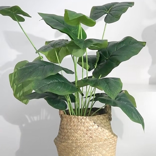 訳あり特価】70cm フェイクグリーン ポトス 人工観葉植物 一輪挿し