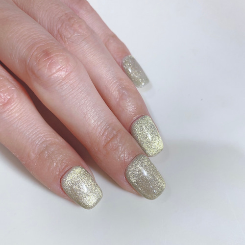 マグネットネイル チップ ネイルチップ（つけ爪） seico_n.r nail 通販