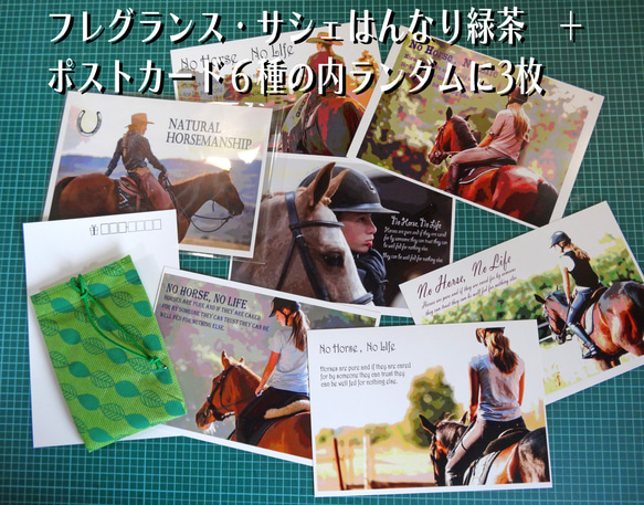 回転木馬/カーハンギング/香りのフレグランス＆ポストカードセット/デザイン変更調整可/天然木 9枚目の画像