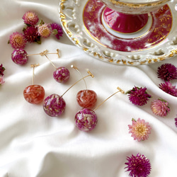 さくらんぼ レジン シンプル ドライフラワー ピアス