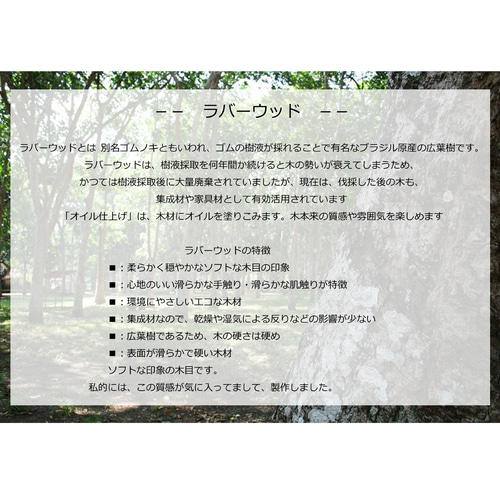 木軸ボールペン DR-ラバーウッド T-2 ボールペン 限定販売 木製 Dr