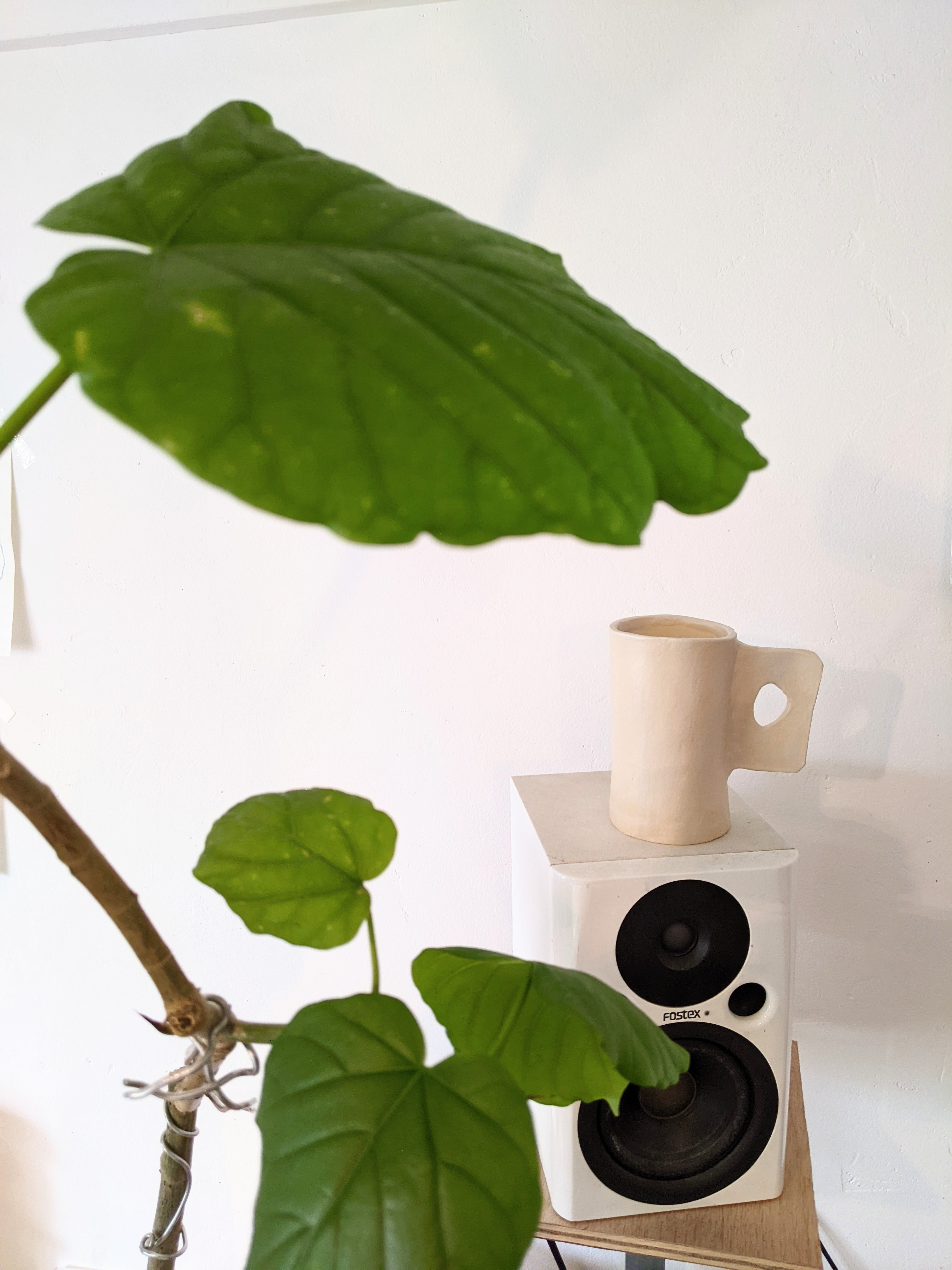 Plate hamdle mug cup -Mat ivory