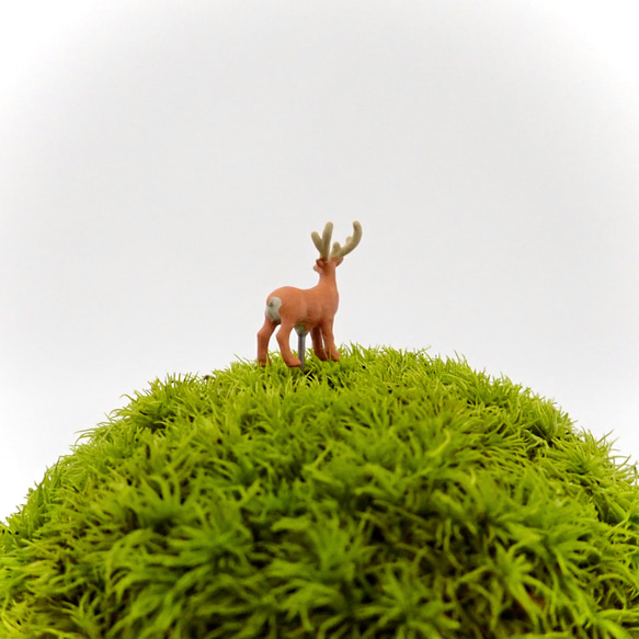 苔テラリウム用フィギュア『鹿』 3枚目の画像