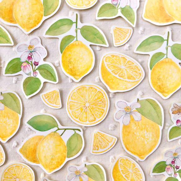 レモン フレークシール 1枚目の画像