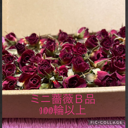 ❇️ドライフラワー❣️ミニバラ ☆ミニ薔薇 ドライフラワーB品セット☆小型ダンボールにミニバラ