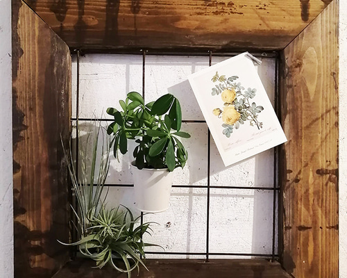 9ec44fb8082dae752f6baa7ea5e05b