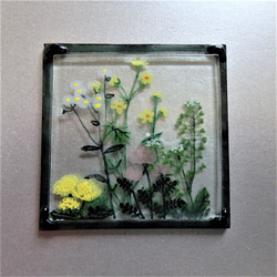 【野の花～春A～】GLASS－mini絵画 2023春 額 窓辺 インテリア 7枚目の画像