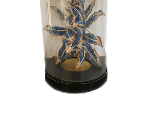 b67d5d1b2fb064b921b874f320a844