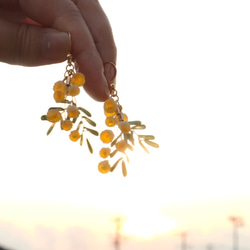 砂糖菓子のミモザのイヤリング(ピアス)｜金属アレルギー対応｜ミモザハンドメイド2023 6枚目の画像