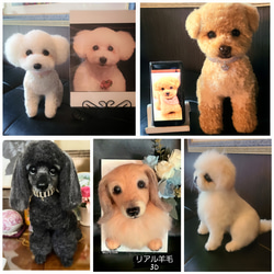 リニューアル】リアル羊毛オーダーメイド多種多様な大きさ