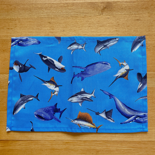 ランチョンマット ランチマット 20×30 ナフキン 幼稚園 給食セット