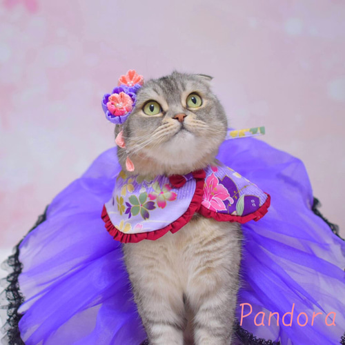 特価☆パッチリお目めの猫ちゃんスタイ☺️よだれ掛け☺️水色 neco