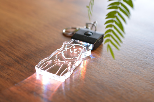 充電式LEDお散歩チャーム 【 body color / 黒 】 1枚目の画像