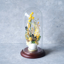 卵に眠る花の箱庭『春の野原/ミモザ』 6枚目の画像