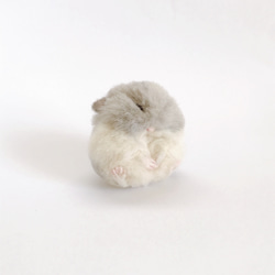 お休み中のハムスター（ブルーサファイア）　羊毛フェルトマスコット 6枚目の画像