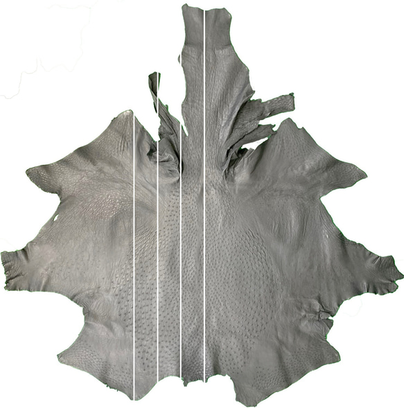 日本製　クライン・カルー　オーストリッチ　３５㎜巾　上質　ベルト　真鍮磨き上げ金具　エキゾチックレザー 10枚目の画像