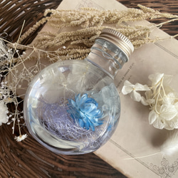 青（ブルー） ハーバリウム・植物標本 のおすすめ人気通販｜Creema