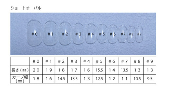 測定用ネイルチップ　サイズ測定チップ 2枚目の画像