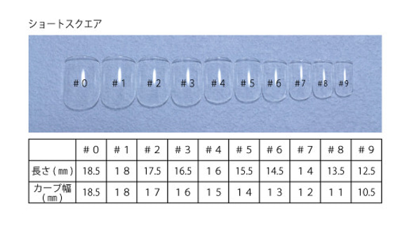 測定用ネイルチップ　サイズ測定チップ 5枚目の画像