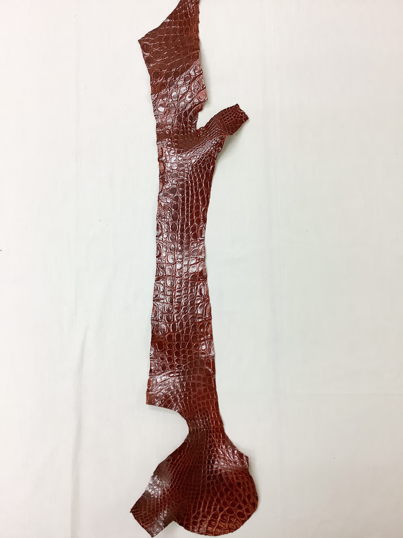 クロコサイド　赤茶　ツヤ有り