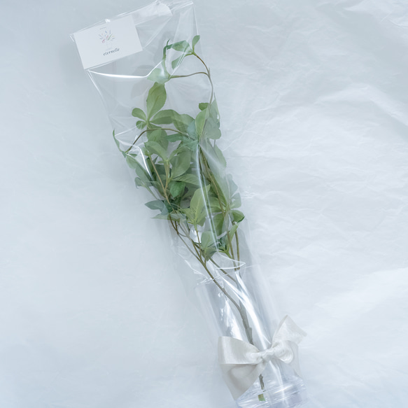 【割れない花瓶 L】ドウダンツツジ（観葉植物インテリアグリーン）セット 誕生日プレゼント・結婚出産祝い・引っ越し祝い 13枚目の画像